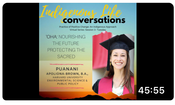 Screen shot of video for Practice of Positive Change: An Indigenous Approach with Puanani Brown; click to follow link and watch video